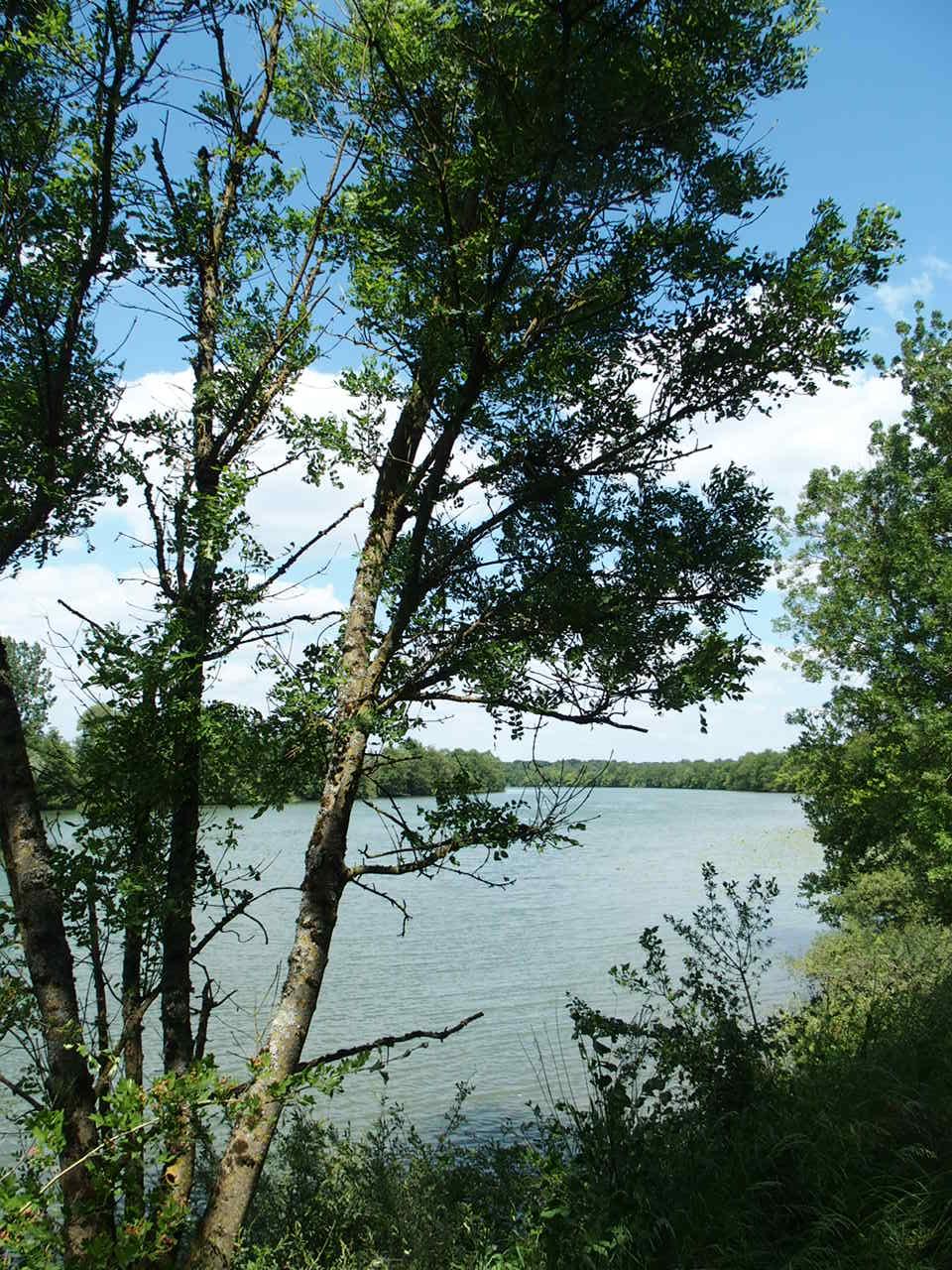 Aucune photo pour cette étape.